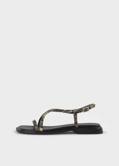 IZZY SANDALER